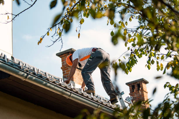 Best Emergency Roof Repair  in Owosso, MI