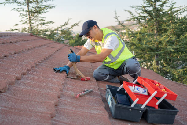 Best Roofing Contractor Near Me  in Owosso, MI